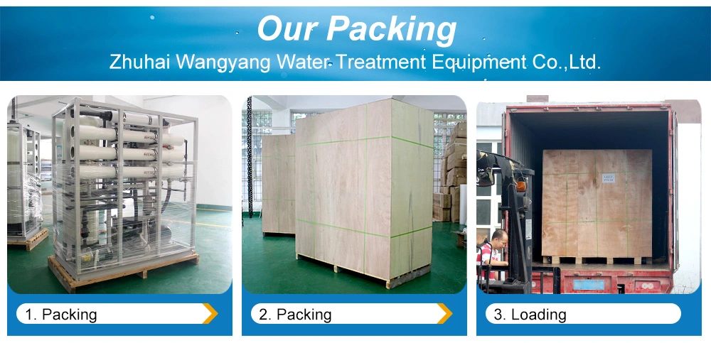 Small Capacity Seawater Desalination Ultrafilter Equipment for Salt Water Treatment Plant